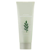 Artemisia Pack Foam Cleanser